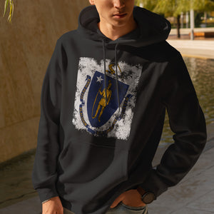 Massachusetts State Flag Hoodie