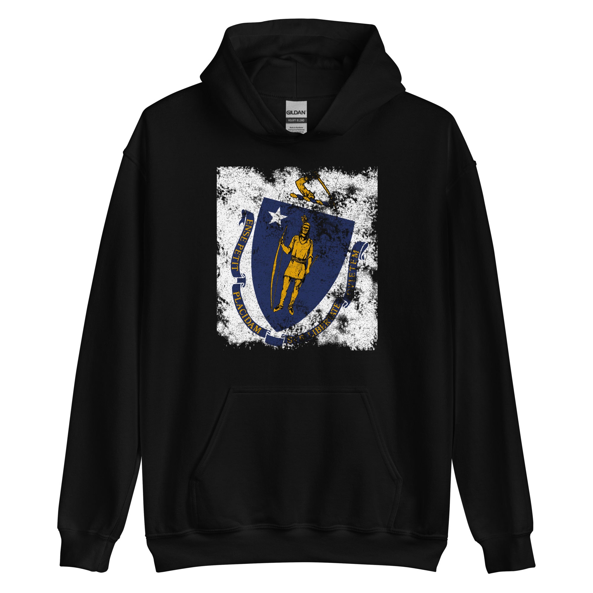 Massachusetts State Flag Hoodie