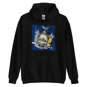 New York State Flag Hoodie