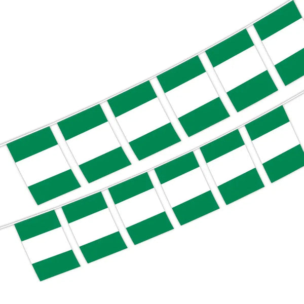 Nigeria Flag Bunting Banner - 20Pcs