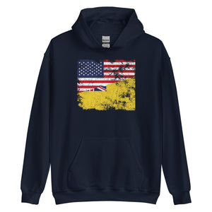 Niue USA Flag Hoodie