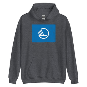 Nordic Council Flag Hoodie