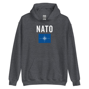 North Atlantic Treaty Organization Flag Hoodie