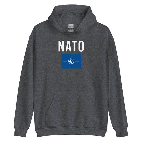 North Atlantic Treaty Organization Flag Hoodie