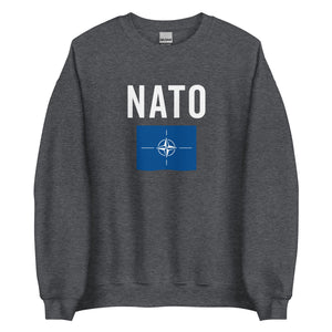 North Atlantic Treaty Organization Flag Sweatshirt