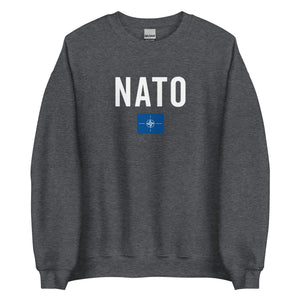 North Atlantic Treaty Organization Flag Sweatshirt