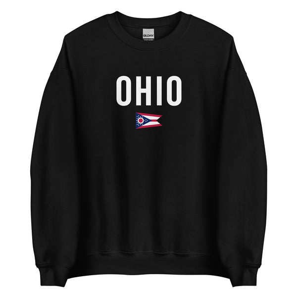 Ohio State Flag Sweatshirt