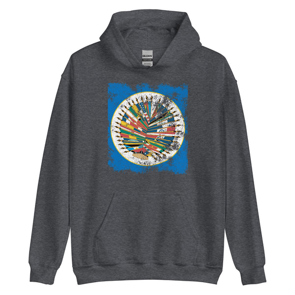 Organization Of American States Flag Hoodie