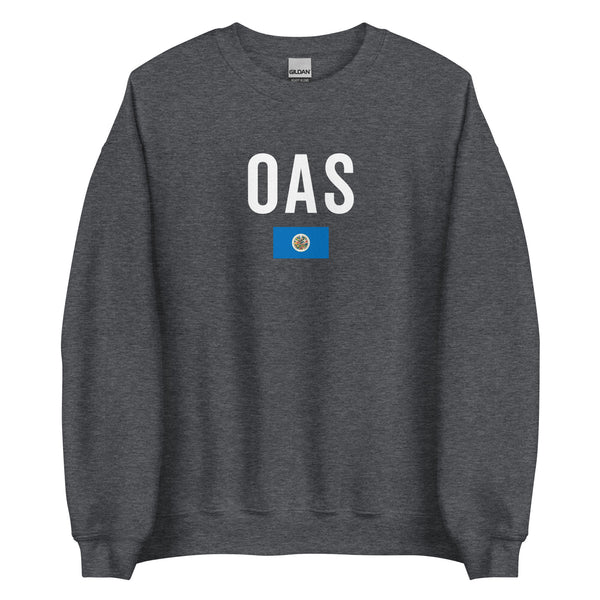 Organization Of American States Flag Sweatshirt