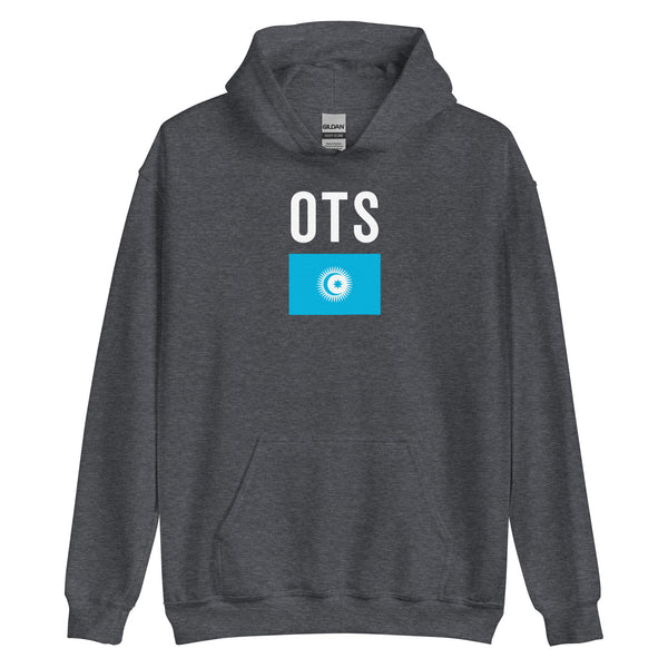 Organization Of Turkic States Flag Hoodie