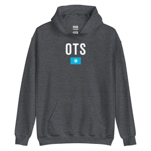 Organization Of Turkic States Flag Hoodie