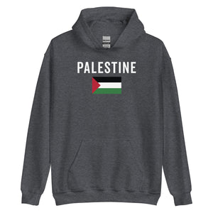 Palestine Flag Hoodie