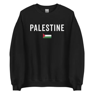 Palestine Flag Sweatshirt