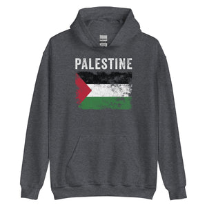 Palestine Flag Vintage Palestinian Flag Hoodie