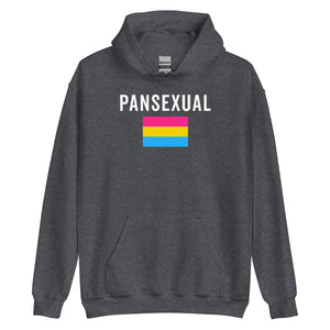 Pansexual Flag - LGBT+ Hoodie