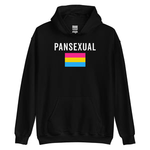 Pansexual Flag - LGBT+ Hoodie