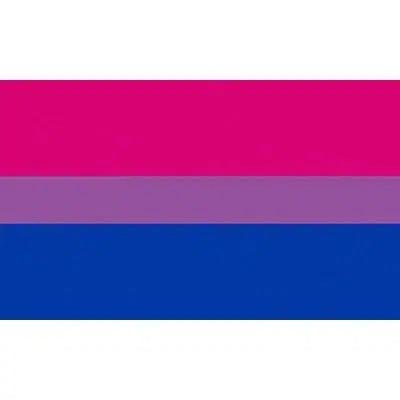 Pansexual Pride Flag - 90x150cm(3x5ft) - 60x90cm(2x3ft) - LGBTQIA2S+