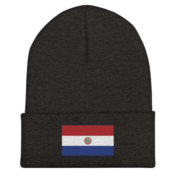 Paraguay 1990-2013 Flag Beanie - Embroidered Winter Hat