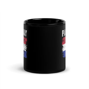 Paraguay Flag Distressed Paraguayan Flag Mug