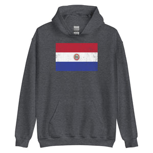 Paraguay 1990-2013 Flag Hoodie
