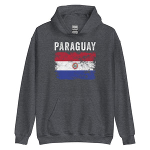 Paraguay 1990-2013 Flag Hoodie