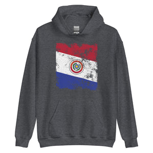 Paraguay 1990-2013 Flag Hoodie