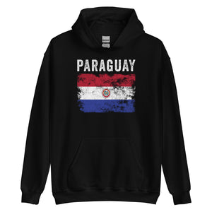 Paraguay 1990-2013 Flag Hoodie