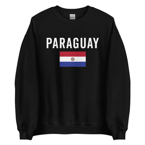 Paraguay 1990-2013 Flag Sweatshirt