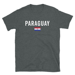 Paraguay 1990-2013 Flag T-Shirt