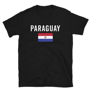 Paraguay 1990-2013 Flag T-Shirt