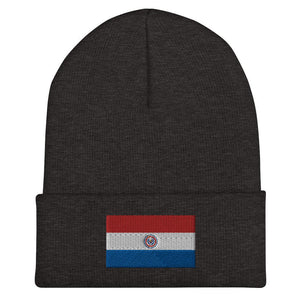 Paraguay Flag Beanie - Embroidered Winter Hat