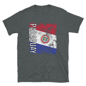 Paraguay Flag Distressed T-Shirt