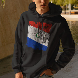 Paraguay Flag Hoodie