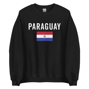 Paraguay Flag Sweatshirt