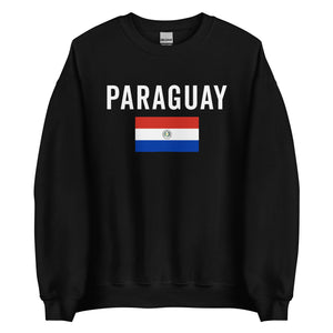 Paraguay Flag Sweatshirt