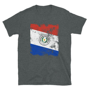 Paraguay Flag T-Shirt