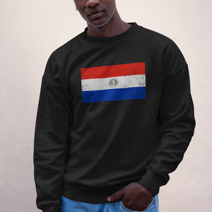 Paraguay Flag Sweatshirt