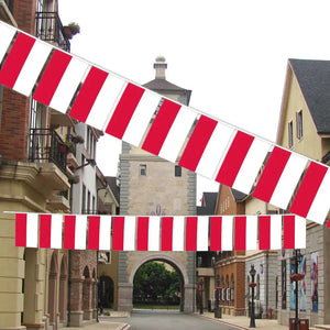 Poland Flag Bunting Banner - 20Pcs