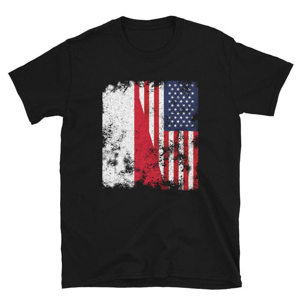 Poland USA Flag - Half American T-Shirt