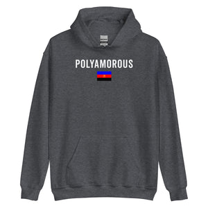 Polyamorous Flag - LGBT+ Hoodie