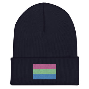 Polysexual Flag Beanie - Embroidered LGBT+ Winter Hat