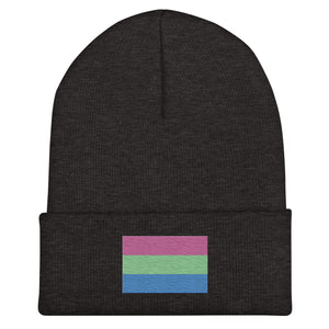 Polysexual Flag Beanie - Embroidered LGBT+ Winter Hat