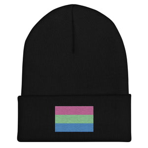 Polysexual Flag Beanie - Embroidered LGBT+ Winter Hat