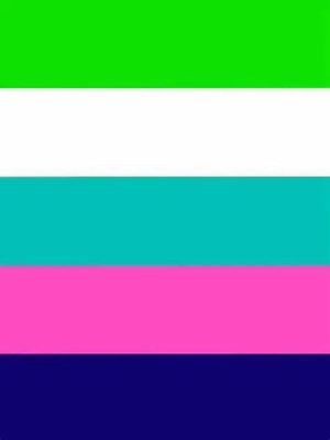 Pride Flag Collection - 90x150cm(3x5ft) - 60x90cm(2x3ft) - LGBT+