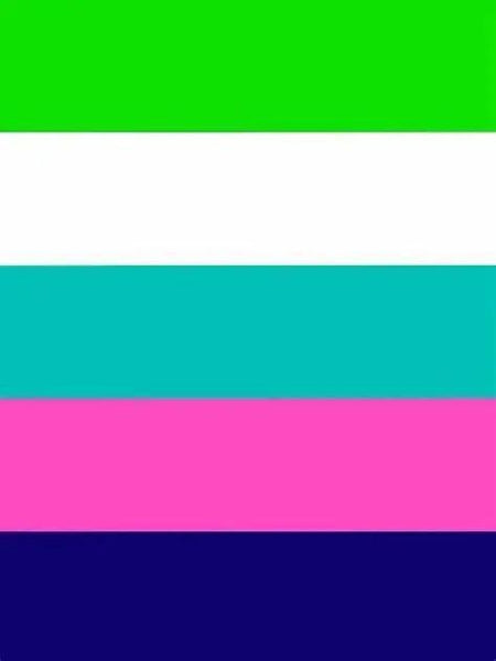 Pride Flag Collection - 90x150cm(3x5ft) - 60x90cm(2x3ft) - LGBT+