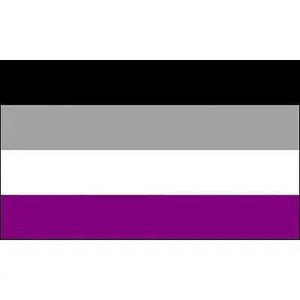 Pride Flag Collection - 90x150cm(3x5ft) - 60x90cm(2x3ft) - LGBT+
