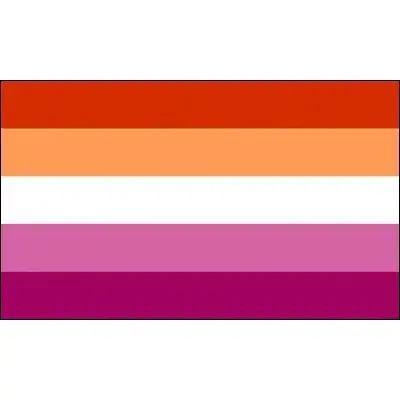 Pride Flag Collection - 90x150cm(3x5ft) - 60x90cm(2x3ft) - LGBT+