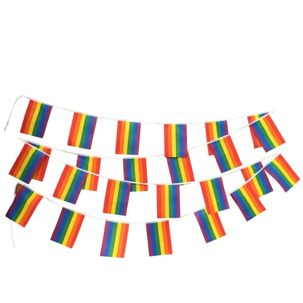 Progress Pride Flag Bunting Banner - 25Pcs - LGBTQIA2S+