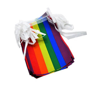 Progress Pride Flag Bunting Banner - 25Pcs - LGBTQIA2S+