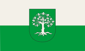 Secondary Image